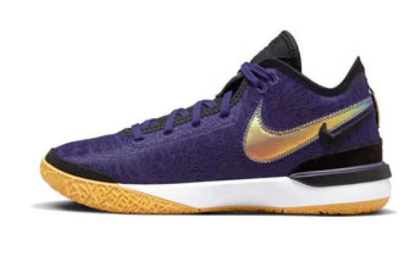 Zoom LeBron NXXT GEN LA Purple/Black/Gold DR8788-500 Nike ナイキ 