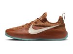 画像1: LEBRON TR 1　Better With Age Brown/Green FJ6151-200 Nike ナイキ シューズ  レブロン ジェームス 【海外取寄】 (1)