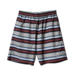 画像1: MULTI BORDER SHORTS BEIGE 222-051002 BG AKTR アクター Shorts ショーツ バスパン ウエア  【MEN'S】 (1)