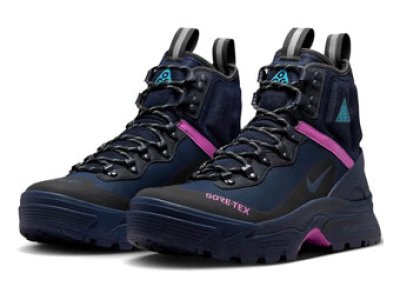 画像1: ACG ZOOM GAIADOME GORE-TEX Navy/Violet DD2858-401 Nike ナイキ ゴアテックス シューズ   【海外取寄】