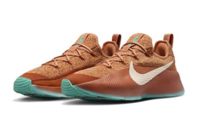 画像1: LEBRON TR 1　Better With Age Brown/Green FJ6151-200 Nike ナイキ シューズ  レブロン ジェームス 【海外取寄】