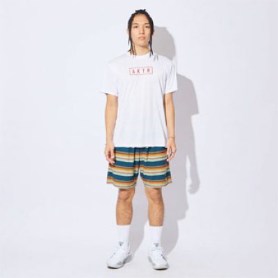 画像1: MULTI BORDER SHORTS NAVY 222-051002 NV AKTR アクター Shorts ショーツ バスパン ウエア  【MEN'S】