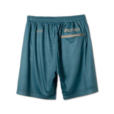 画像1: UNECAGED MESH SHORTS BLUE 223-062002 BL AKTR アクター Shorts ショーツ バスパン ウエア  【MEN'S】